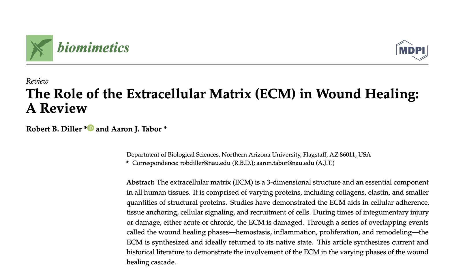 The Role of the Extracellular Matrix (ECM) in Wound Healing:A Review